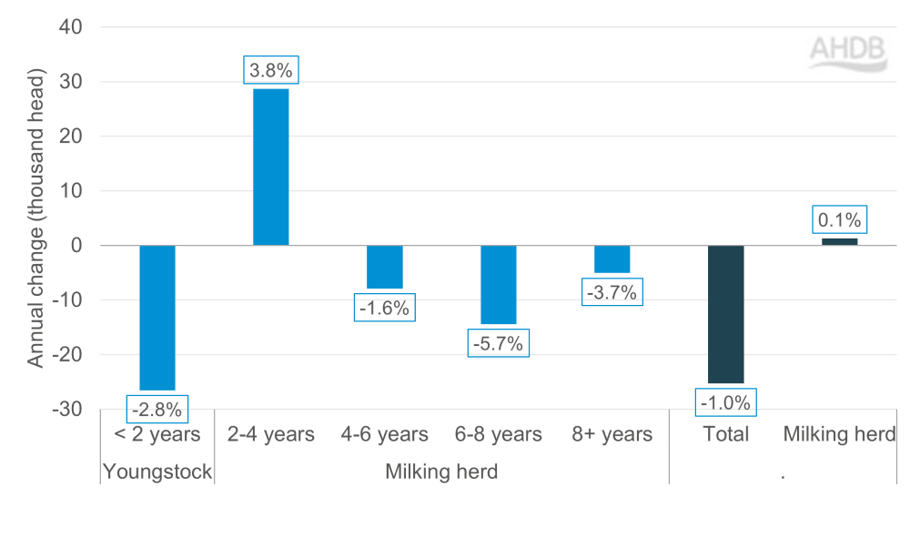 Graph showing annual changes in the dairy population by age category